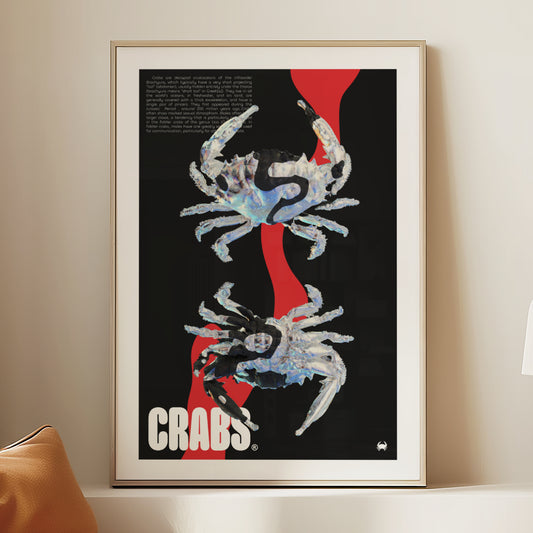 "Crabes"